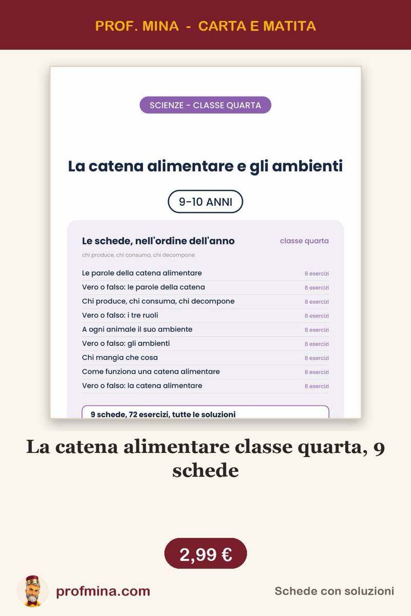 La catena alimentare classe quarta, 9 schede